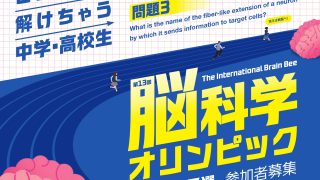 第13回 脳科学オリンピック日本大会 2026年　予選について